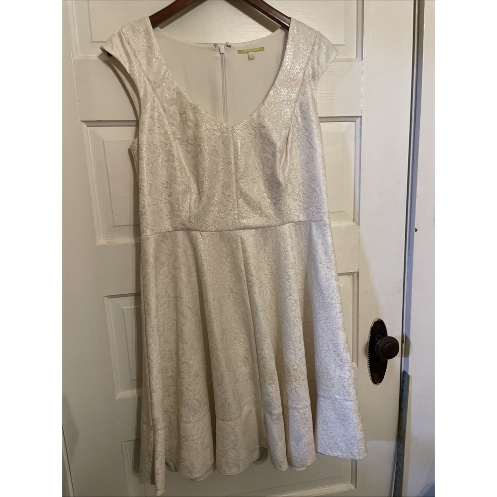 Gianni Bini Fit N Flare Dress‎ Silver Lustrous Shimmer Party Celebration Large